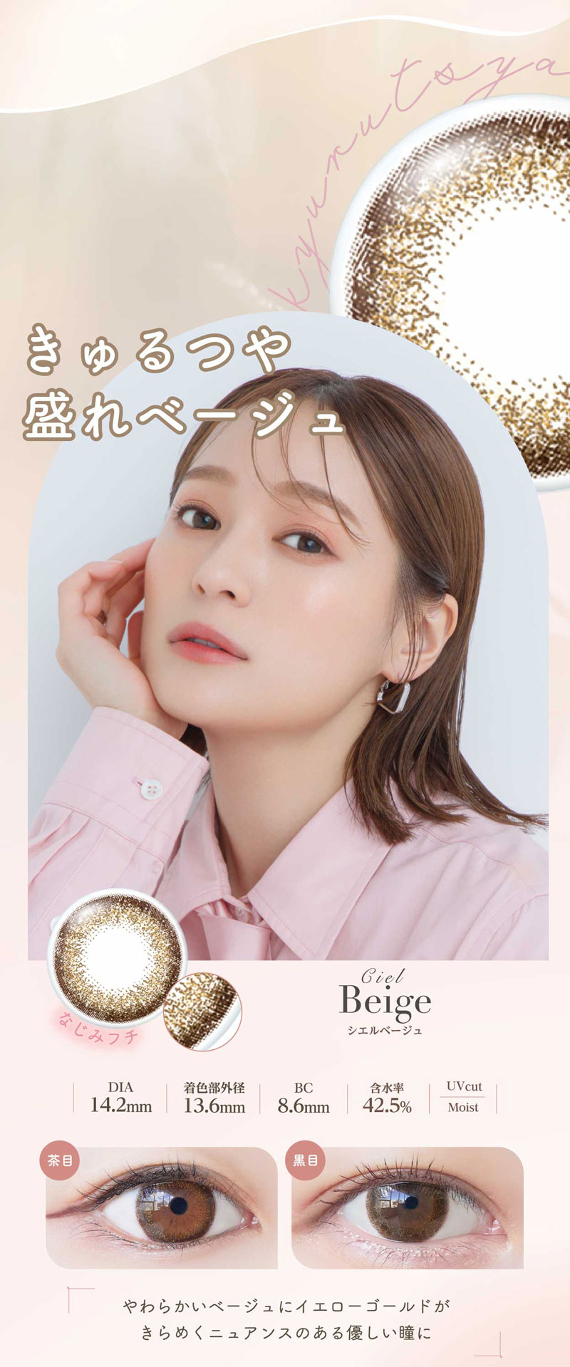 ネオサイトワンデーシエルUV